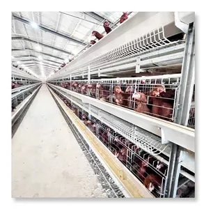 2024 New Product Factory outlet Over Value wire mesh H Type Chicken farming animal cages chicken