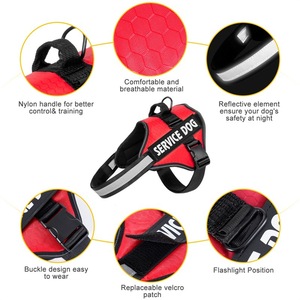 Correa Retráctil Automática Reflectante para Perro, Cinta de Nailon Resistente de 3M 5M, Correa Extensible para Perro con Freno de Una Mano - Product Image 2