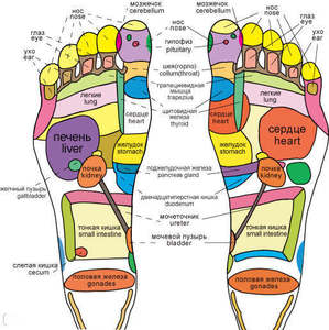 Máquina masajeadora de pies de pantorrilla, zapatilla electrónica cómoda, masajeador de piernas y pies para el cuidado de la salud - Product Image 6