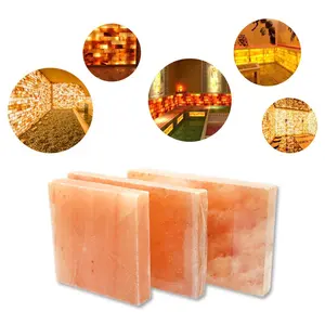 Mattoni di sale mattoni di sale naturale dell'himalaya fabbricazione in cina in vendita