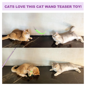 Vente en gros - Meilleures ventes : Canne à chat rétractable à trois sections avec têtes interchangeables et plumes pour le jeu des chats - Product Image 4