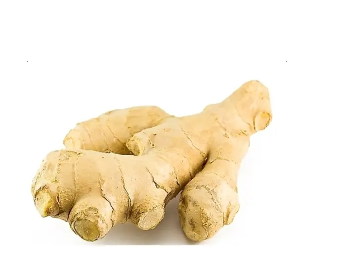 2021 High quality wholesale affordable price export green health fresh ginger
