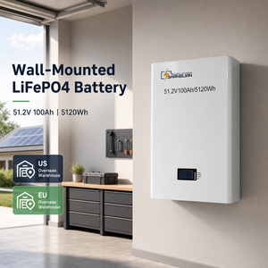 51.2V 100Ah 5120Wh Solar LiFePO4 <b>Battery</b> Wall <b>Mounted</b> Home Storage 6000 Cycles Smart BMS Cloud Control EU Stock Custom <b>Battery</b> - Product Image 1