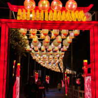 Individuelle freiluft-wasserdichte chinesische Laternen Feiertag Dekoration Papier Geburtstag Partyzubehör Papier-Lanternen