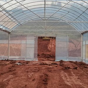 2025 Invernadero usado comercial barato usado Multi Span para cultivar rosas a la venta - Product Image 3