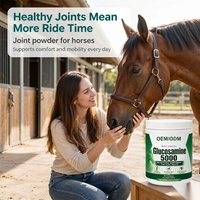 Poudre de soutien articulaire équine OEM ODM Glucosamine Chondroïtine MSM Mobilité Flexibilité Marque Privée