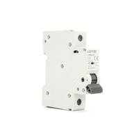 LEEYEE Seguridad Mini Disyuntor 6KA 240/415V AC 32A Proveedores de China B C D Tipo MCB Precio