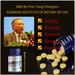 Prof.Ding OEM Venta al por Mayor Suplementos Energéticos para Hombres Tabletas Herbales para la Próstata Suplemento Herbal - Product Image 5