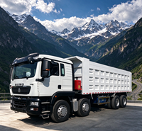 Camion benne minier diesel 8x4 12 roues 420 CV SINOTRUK HOWO TX