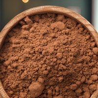 Poudre de cacao naturelle 10-12% de matières grasses, poudre brune pour la pâtisserie et la production de chocolat