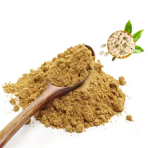 Meistverkaufter Wasserlöslicher Kürbiskernextrakt 10:1 20:1 Kürbiskernextrakt-Pulver - Product Image 4