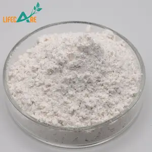 Wholesale Manufacturer Supply Powder Thickener Arabic Gum