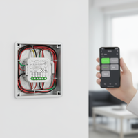 Module de relais mini Zigbee 4 voies Smart Life, contrôle vocal WiFi via Google Home pour Alexa, matériau PC, AC100-240V 10A/canal