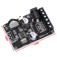XY-P40W 30W/40W carte amplificateur Bluetooth stéréo 12V/24V Module numérique haute puissance pour haut-parleurs accessoire de produit Audio