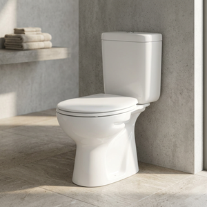 Modern Ceramic Two Piece Close Coupled Water Closet Toilet P Trap Washdown <b>Back</b> To Wall Floor Mounted WC - Product Image 3