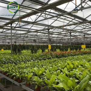 Mesa de cultivo de flujo y reflujo ajustable grande comercial, Banco rodante hidropónico, invernadero con rieles de enrejado - Product Image 6