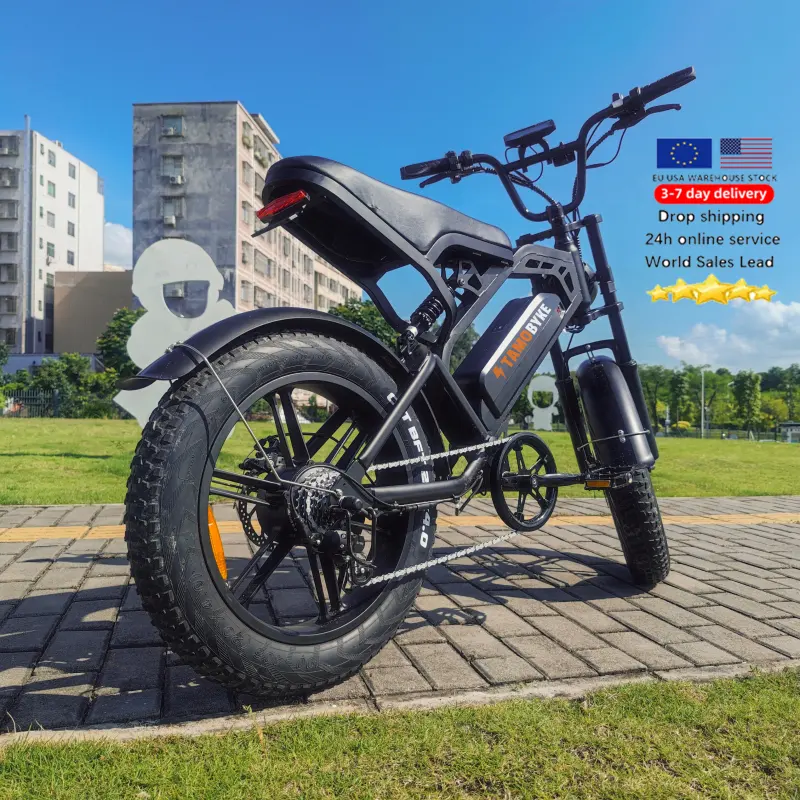 Venta caliente 20 "x 4,0 Rueda Suspensión completa Ebike 750W Motor Bicicleta eléctrica 48V 15ah Baterías Fat Tire Bicicleta eléctrica