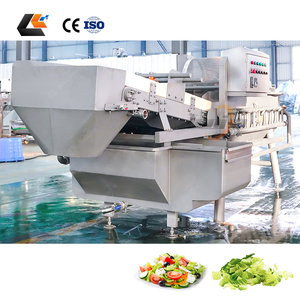 Laveuse de légumes à feuilles à prix d'usine, machine à laver les légumes, laveuse de salades à l'ozone, machine à laver le gingembre - Product Image 5