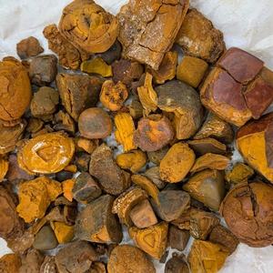 Niu Huang中国ハーブベゾア牛ガルスストーンスライス乾燥粉末スパイス生加工タイプさまざまな輸出 - Product Image 5