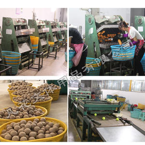 Professionale produttore di palle da <span class=keywords><strong>tennis</strong></span> giallo di alta qualità palline da <span class=keywords><strong>tennis</strong></span> <span class=keywords><strong>cricket</strong></span> palle di Buona Gomma Concorrenza <span class=keywords><strong>tennis</strong></span> - Product Image 5