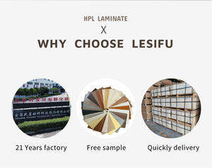 Lesifu <span class=keywords><strong>Hpl</strong></span> Nhà Sản Xuất Giá Rẻ 0.7Mm Trắng Matte Formica Thiết Kế <span class=keywords><strong>Hpl</strong></span> Tấm Laminate Cho Đồ Nội Thất Tủ Bếp - Product Image 3