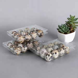 Прозрачный пластиковый лоток для яиц - Product Image 1