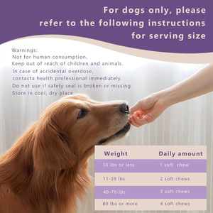 Fabricant expérimenté Suppléments de soins de santé pour animaux de compagnie Calming Soft Chews pour aider à réduire l'anxiété Stress Peur - Product Image 3