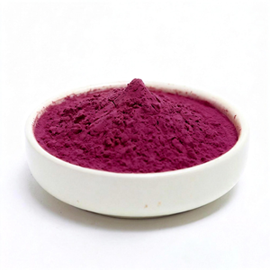 Натуральный экстракт плодов шелковицы 5%-40% антоцианов - Product Image 2