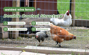 Welded Square Mesh Roll Galvanized Iron Wire <b>Fence</b> for Farm Use - Product Image 6