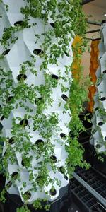 One Sistemas de cultivo automático Smart Low Cost Vertical Tower L Invernadero - Product Image 3