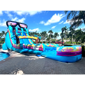 Tobogán Acuático Inflable Gigante con Forma de Palmera y Piscina para Adultos y Niños, Gran Venta - Product Image 5