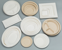 Vaisselle jetable en pulpe de canne à sucre, assiettes rectangulaires pour hot-dogs, plateaux à gâteaux, boîtes à pain avec couvercles, boîtes à emporter biodégradables