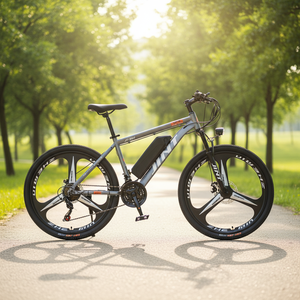 Bicicleta de Montaña Personalizable con Motor Central de Aluminio, Asistencia Eléctrica de Litio, Ultraligera, Directo de Fábrica, LD02-36 - Product Image 5