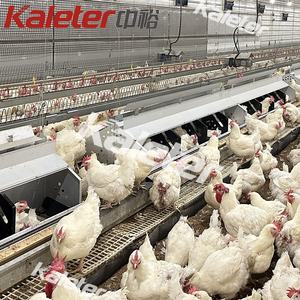 Otomatik tavuk yumurta toplama sistemi tavuk kümesi Metal yumurta toplama makinesi rulo yuva kutusu döşeme Pick up - Product Image 2