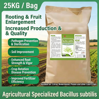 Probiotique agricole Bacillus Subtilis en poudre 25 kg, 100 milliards d'UFC/g, durée de conservation de 24 mois, favorise la nutrition et la croissance saine