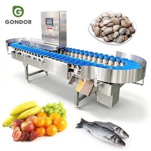 Máquina Clasificadora y Seleccionadora de Alimentos para Mariscos, Caracoles, Granadas, Pescado y Ostras, con Pesaje Automático y Clasificación por Tamaño en Acero Inoxidable - Product Image 1