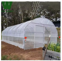 Serre agricole à portée unique Bon marché Durable culture hydroponique Cadre galvanisé Tunnel Film plastique Serre