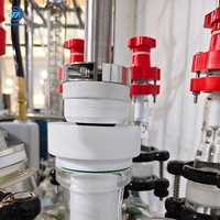 Nuevo Modelo de Reactor de Vidrio Encamisado de 15L Yangmai, Recipiente Compacto de Borosilicato para Síntesis al Vacío y Agitación de Productos Químicos Finos