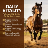 Vitamines et Minéraux pour Chevaux – Complément Quotidien Énergisant et Vitalité – Soutien du Système Immunitaire – Granulés à Mâcher Sains – OEM ODM