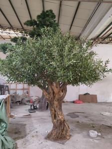 Arbre d'olivier artificiel moderne fait main réaliste <span class=keywords><strong>de</strong></span> 10 pieds, personnalisé <span class=keywords><strong>en</strong></span> usine, pour décoration extérieure, durable, <span class=keywords><strong>en</strong></span> verre, Saint-Valentin, Nouvel An - Product Image 4