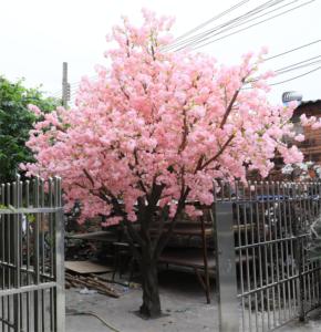 ต้นเชอรี่เทียมสีชมพูเฌอรี่ดอกไม้ต้นไม้สำหรับกลางแจ้ง - Product Image 6