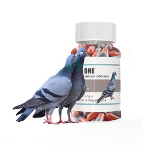 Victory Pills Six-in-One Racing Pigeon Suplemento de Proteção à Saúde Intestinal Cápsulas para Aves Pó Garrafas Embalagem - Product Image 1