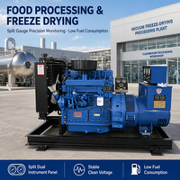 Groupe électrogène portable à alimentation ininterrompue avec deux packs de peinture pour chantier de concassage, générateur diesel 350 KVA
