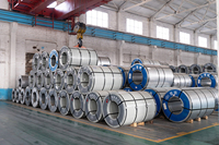 Bobine d'acier laminé à chaud de calibre épais 8-16 mm pour la fabrication lourde et les éléments structurels