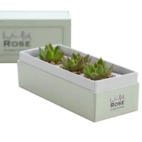 Boîte de papier d'emballage de plante cadeau vide personnalisée pour plantes succulentes