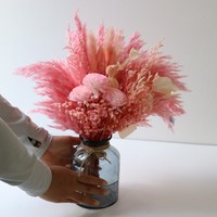 Rumput Pampas Kering Alami untuk Dekorasi Rumah Gaya Boho, Bunga Kering Tinggi Ramah Lingkungan untuk Hari Ibu & Hari Valentine