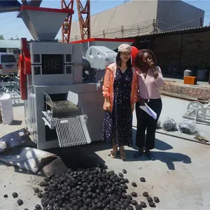 Equipo de prensado de bolas de carbón, diseño profesional a pequeña escala