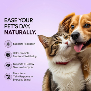 OEM/ODM Bandes orales apaisantes pour animaux de compagnie, à dissolution rapide, sans sucre, à base d'ingrédients naturels, pour favoriser le sommeil et soulager l'anxiété et le stress. - Product Image 6