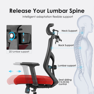 NOEL 高性价比人体工学网布办公椅，带 2D 腰部支撑，电脑椅，适用于办公家具 Sillas De Oficina - Product Image 6