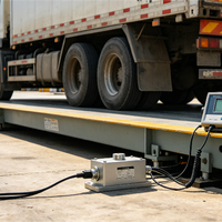 Célula de Carga Digital de Columna Keli ZS-D, Modelo Inteligente de Alta Precisión, Capacidad de 30/40 Toneladas, Acero Aleado OIML II para Camiones Electrónicos